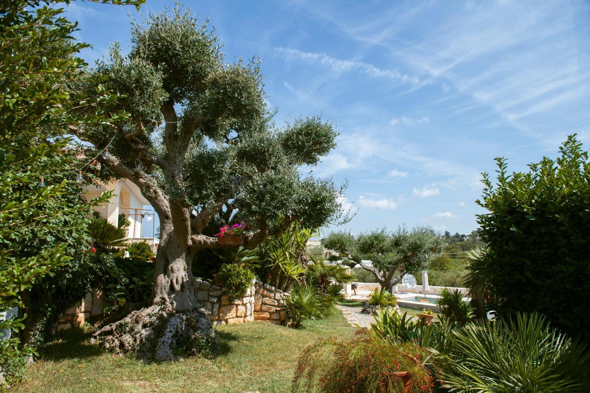 Holiday Home Cosimo Локоротондо Екстериор снимка
